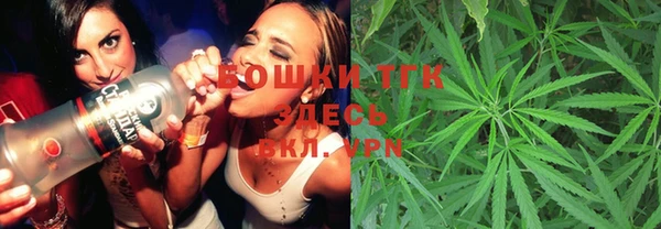 бошки Заводоуковск