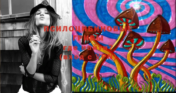 марки lsd Заволжск