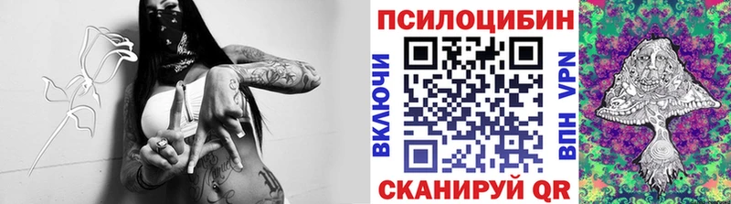 Галлюциногенные грибы Cubensis  Купить закладки  Духовщина 
